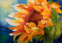 Paintings Portfolio